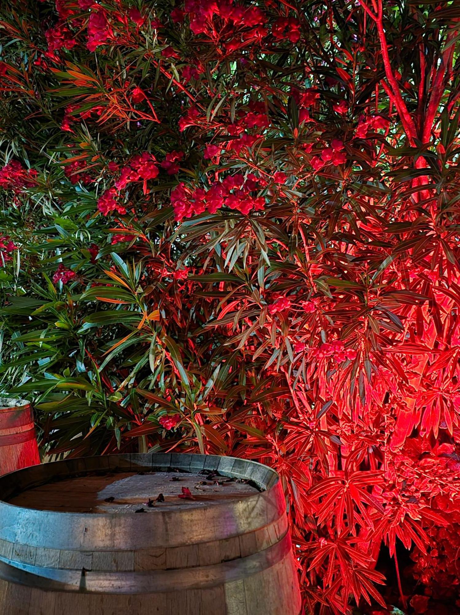 Les Loges Du Luberon Hotel Coustellet